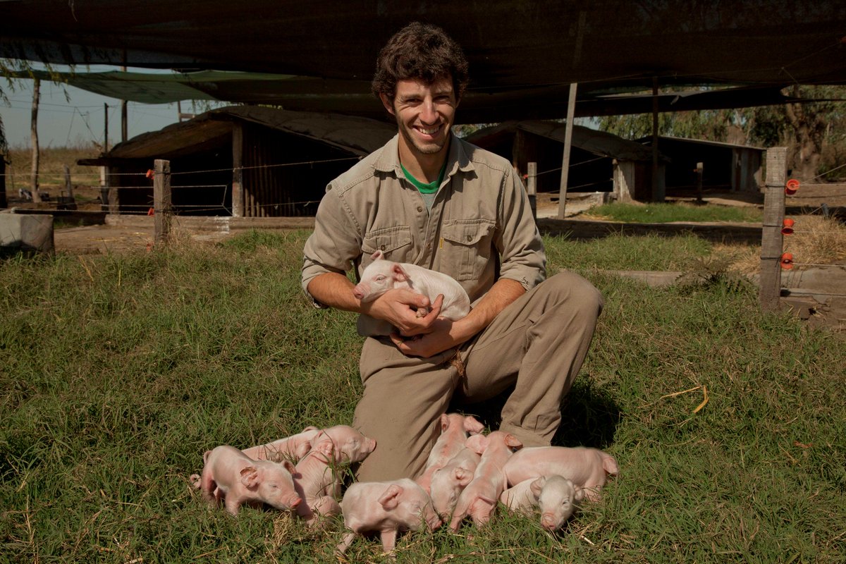 🔊En #Tucumán, #Catamarca y #SgoDelEstero pusimos en marcha 3 laboratorios de inseminación artificial porcina con una inversión de más de $ 935 mil. En 📻<a href="/NacionalAM870/">Radio Nacional AM 870</a> entrevistaron a nuestro coordinador para que cuente sobre el proyecto. Escuchalo en: goo.gl/BVkMEd