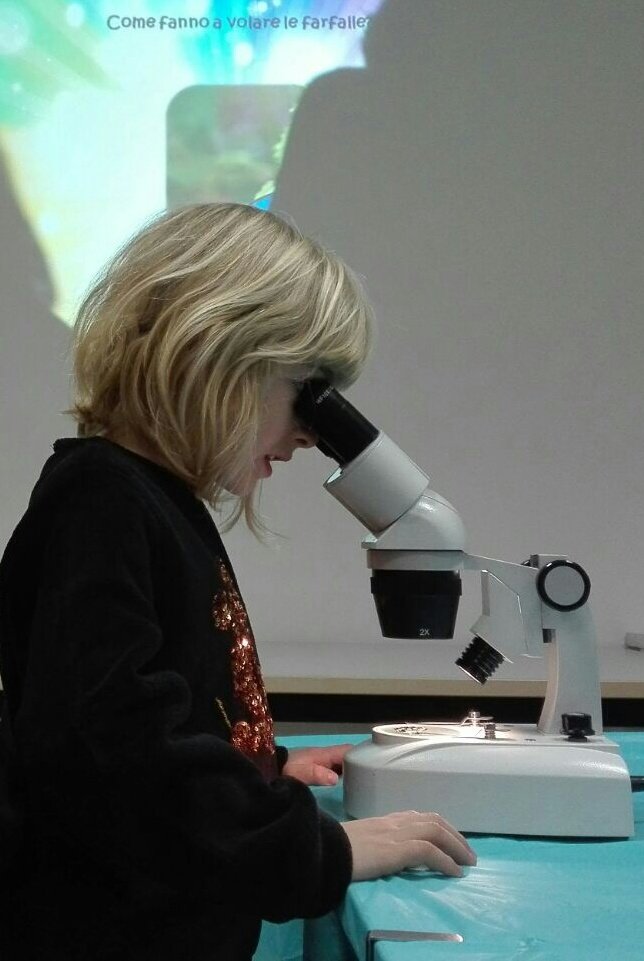 Biosphaera tweet media