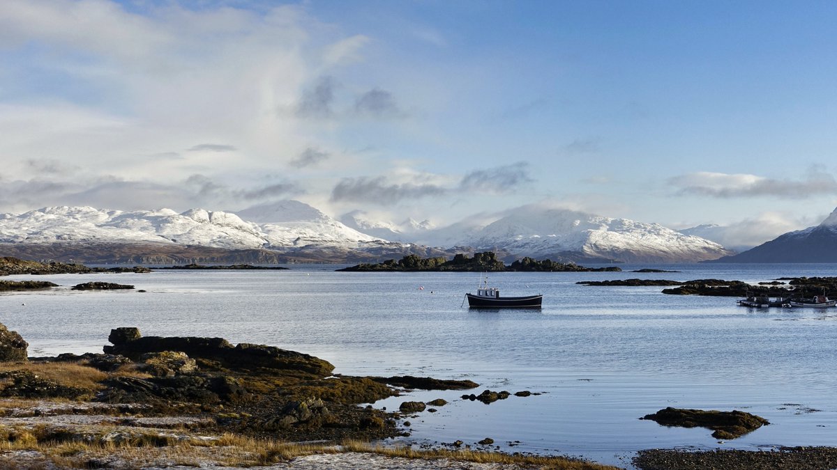 Stuart Robinson tweet media