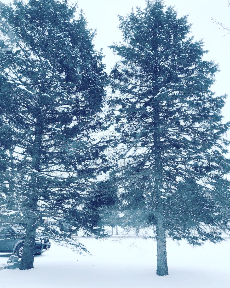 Michiana Wonderland