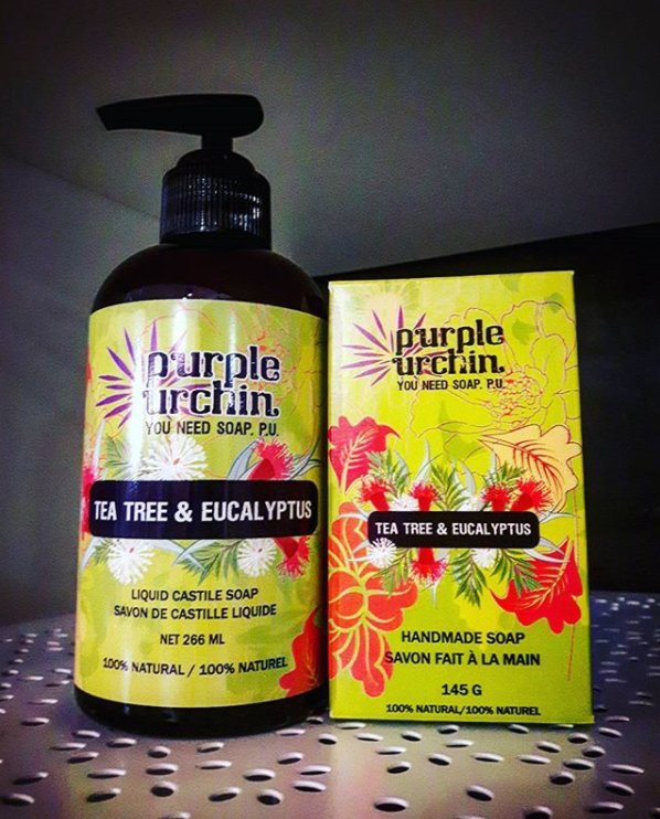 Purple Urchin Soap Fight Cold And Flu Season Naturally With Our Tea Tree Eucalyptus Liquid Soap And Bar Soap Tea Tree And Eucalyptus Essential Oils Have Natural Antiviral Antibacterial