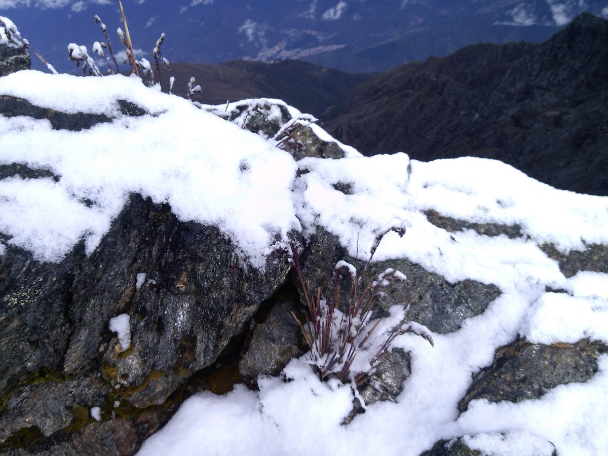 Mukumbari's tweet photo. Hoy #28Dic nos sorprendió nuestro maravilloso Parque Nacional Sierra Nevada con una sorprende #Nevada para finalizar este año #2017 #NavidadMukumbari https://t.co/Pqjx0m1k5a
