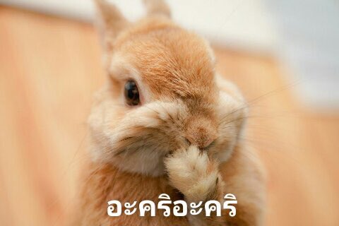 yjkodcool's tweet photo. @howtoyoungb ‘คิ ด ถึ ง’ พิมพ์งี้ https://t.co/4HyzbtgCsk