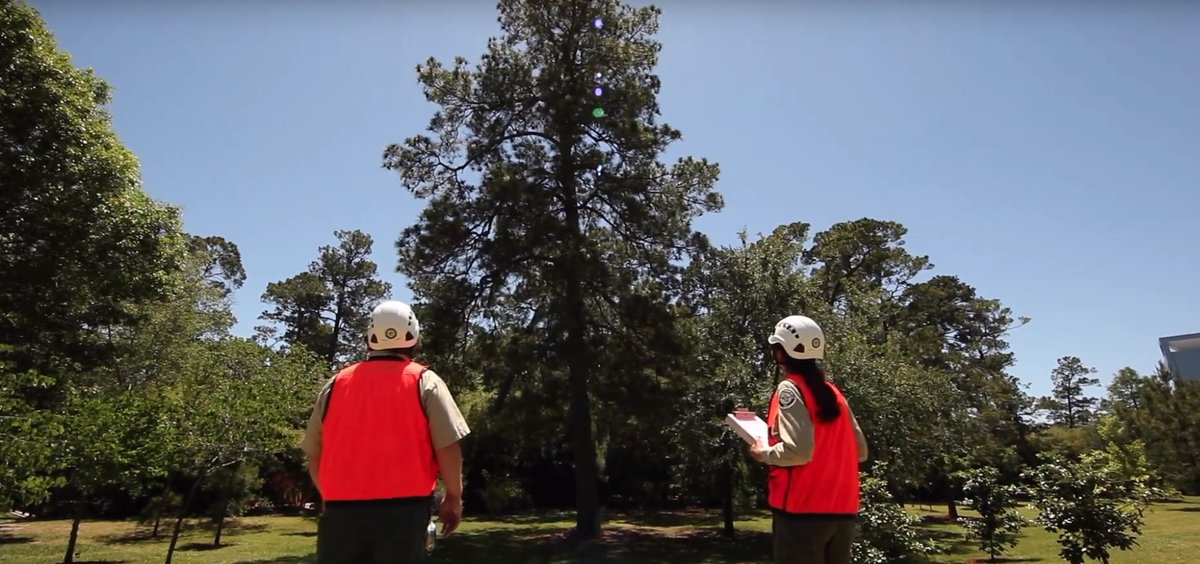 TXForestService's tweet image. The My City’s Trees web application is a free tool that makes community tree data easily accessible to the public. With just a few clicks of a mouse, anyone with access to the Internet can explore a community’s urban forest, visit tfsfrd.tamu.edu/mycitystrees to learn more.