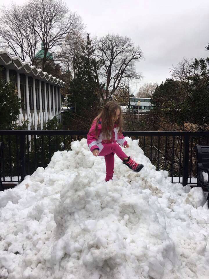 Sherry Lee (@lee32744925) on Twitter photo 