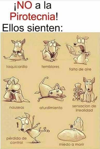 dog_chile's tweet photo. #NoALaPirotecnia #FuegosArtificiales #ConcienciaAnimal https://t.co/9hmb4YsCQv