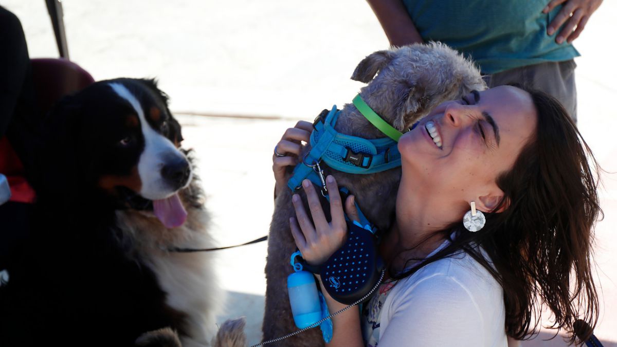 T13's tweet photo. 🐕 Claves para que tu perro no sufra con los fuegos artificiales durante estas fiestas » https://t.co/SwIjmvAPfd https://t.co/7qOYyhzWr2