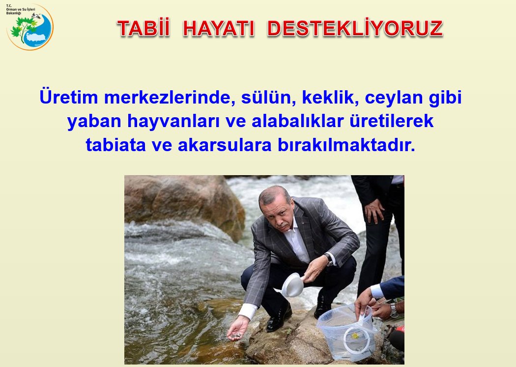 dkmp6blg's tweet photo. Üretim Merkezlerimizde Ürettiğimiz Keklik, Sülün, Ceylan gibi Yaban Hayvanlarımızı Tabiata Salarak Tabi Hayata Sahip Çıkıyoruz. #ormansuvarsahayatvar https://t.co/JRecug5Poh