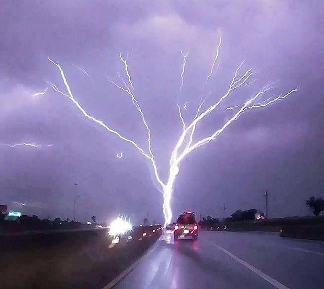 barickiza's tweet photo. Lightning in tree https://t.co/IY7YL0lSZ8