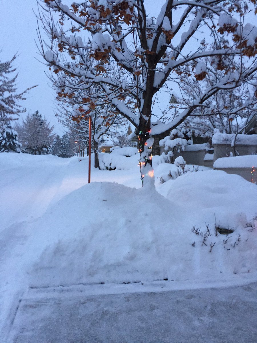 rcamcole's tweet photo. Remind me not to put Christmas lights on anything under 5 feet tall next year. #skiersprobablylovethis #notaskier https://t.co/d4uGSkJcYY