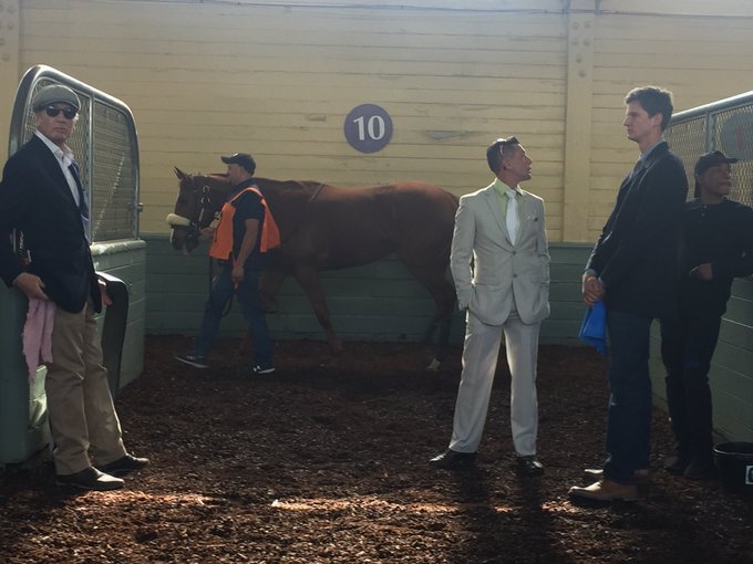 #tbt In the saddling area before race 4 opening day @santaanitapark, Sensible Myth runs second by a whisker<a href="/tag/tbt"class="tags">#tbt</a><a href="/tag/horseracing"class="tags"><span>#horseracing</span></a><a href="/tag/gwr"class="tags"><span>#gwr</span></a>