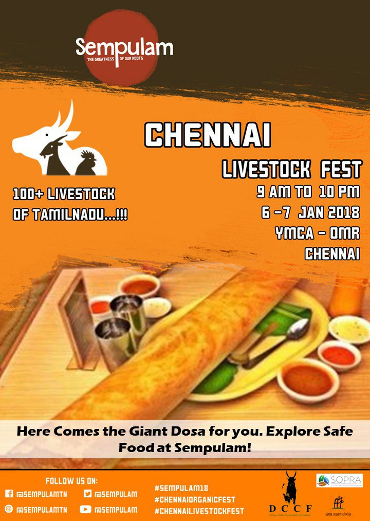 sempulam's tweet photo. Are you ready to try the Giant Family #Dosa? Ya, it's Obviously Organic!!

Explore Safe Food at Sempulam on Jan 6th and 7th in YMCA, OMR.

#Sempulam18 #ChennaiLiveStockFest #ChennaiOrganicFest https://t.co/FvREsGh37g