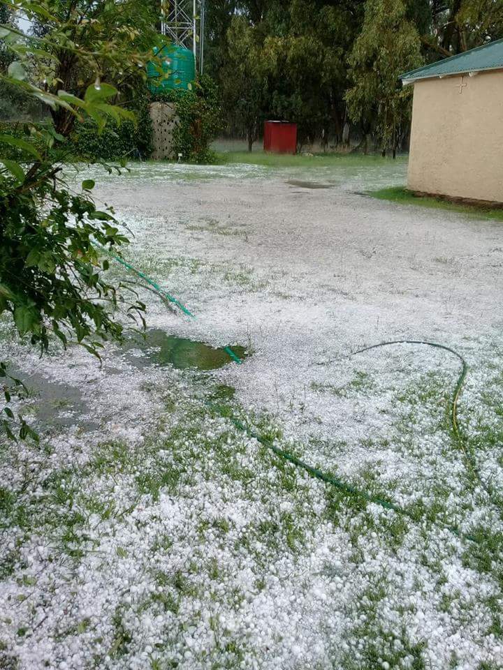 Hael in Senekal omgewing op n plaas tussen Senekal en Rosendal Foto Rénel Oosthuizen <a href="/SAWeatherServic/">SA Weather Service</a> @JoelGuy_ @eNCAWeather <a href="/maroelamedia/">Maroela Media</a> @OFM9497 <a href="/MonSpek1/">RSG Aktueel</a> <a href="/Stembandnuus24/">Nuus24</a> <a href="/TrafficSA/">TrafficSA</a> <a href="/vslandbou/">Vrystaat Landbou</a> <a href="/debeer_anika/">Anika De Beer</a> @AgriSAOfficial <a href="/huisgenoot/">Huisgenoot</a> @Letabaherald