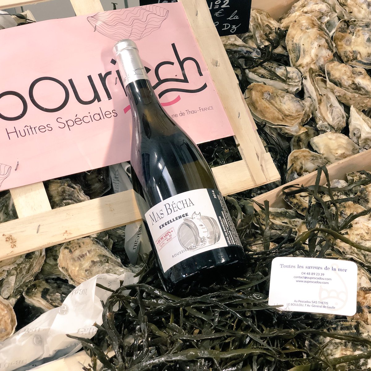 domainemasbecha's tweet photo. Pour le #réveillon du #NouvelAn, Romarin nous a gentiment fait savoir qu’il aimerait une douzaine de #Tarbouriech... et vous ? 😉🍷🎉🎇#vin #wine #vino #NewYear #resolutions2018 https://t.co/hCIv0GVgpi