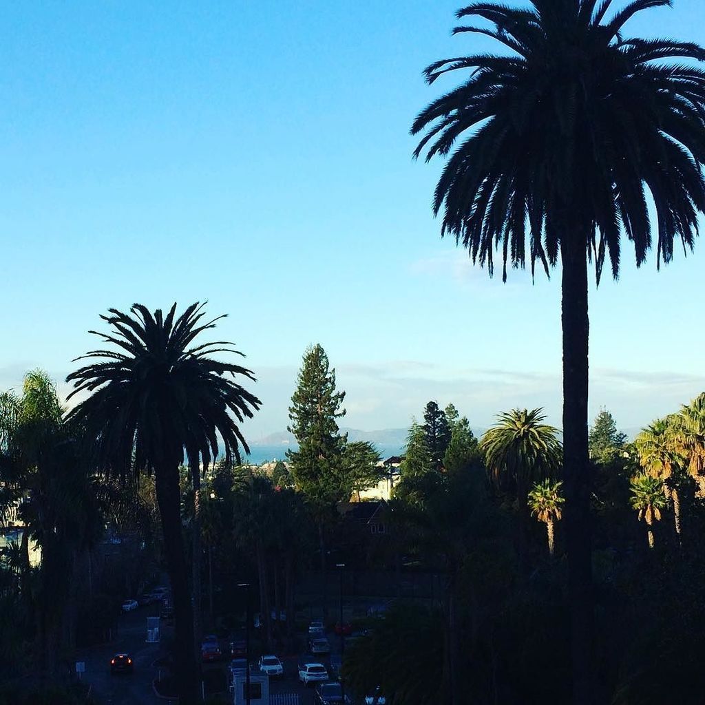 DesignerGreg's tweet photo. sweet home california #claremonthotel #meritage #breakfastwithaview  #palmtrees #morningwriting #morningmotivation #morningcoffee #tweet https://t.co/UeYae3yU1c