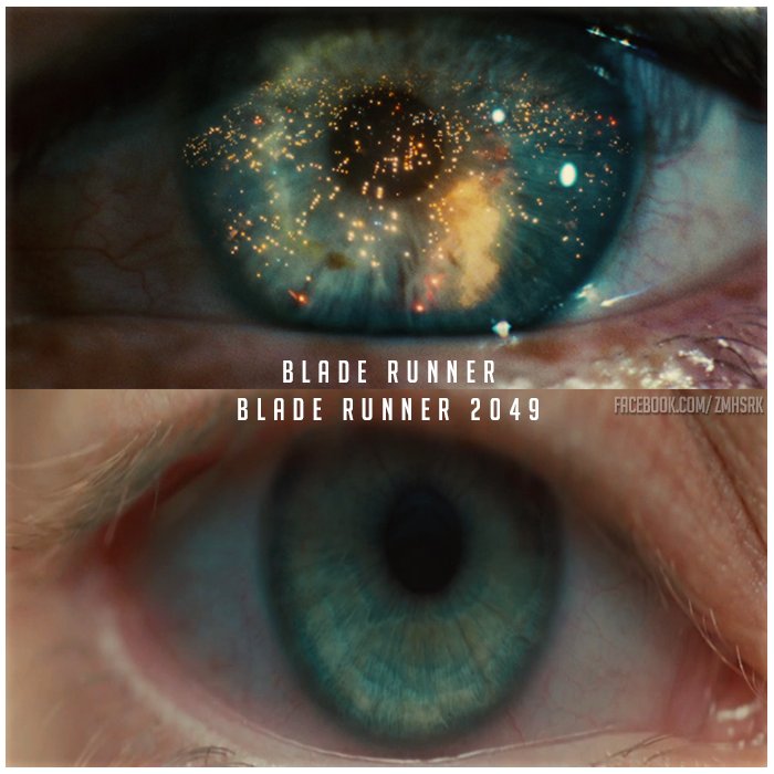 zmhsrk's tweet photo. C E L L S _I N T E R L I N K E D https://t.co/mgqmYPcFsi #BladeRunner2049 #BladeRunner #baseline #Recalibration #replicant #cellsinterlinked #OfficerK #Joe #deckard #SCIFI #VoigtKampff @bladerunner #Joi #LAPD #Tyrell #NianderWallace #Villeneuve #ZMHSRK #FACTS #cyberpunk https://t.co/SSePfkGTG2
