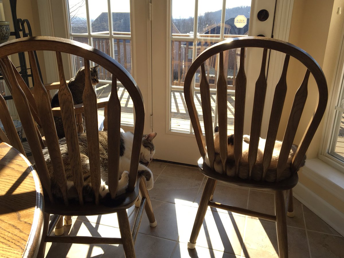 toomuchcountry's tweet photo. And you get a sun chair ... and you get a sun chair ... and you get a sun chair ... #sunchair https://t.co/DhAtZCyo3e