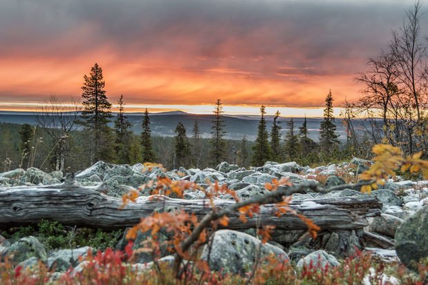 BestScandinavia's tweet photo. Have you heard of Levi? It's tucked away in the heart of Finnish Lapland and is a stunning autumn destination (yes, autumn!). Find out more in our new blog: https://t.co/iZeaFTRO7e #visitfinland #bestserved https://t.co/ll995hjr85
