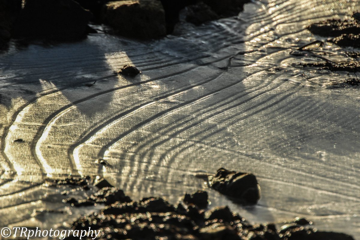 iced up puddle this morning