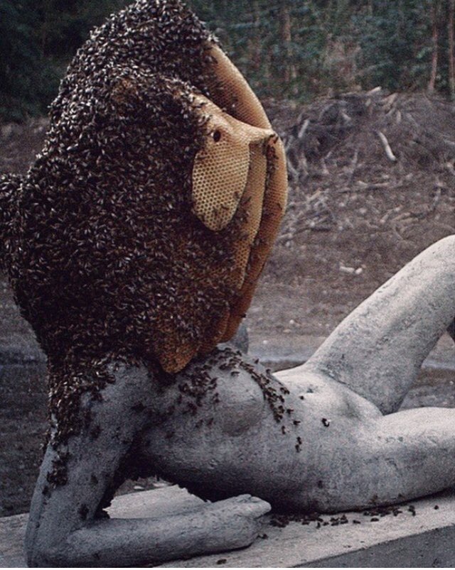 bootstrap bees tweet media