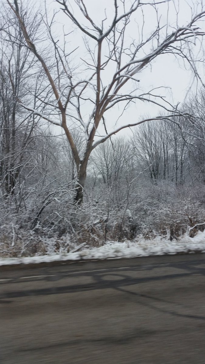 _Safko_'s tweet photo. I love when the snow is like this, slightly covering the trees makes it look so awesome yet roads are still clear and some grass can still be seen. https://t.co/EVBoGGNcwf