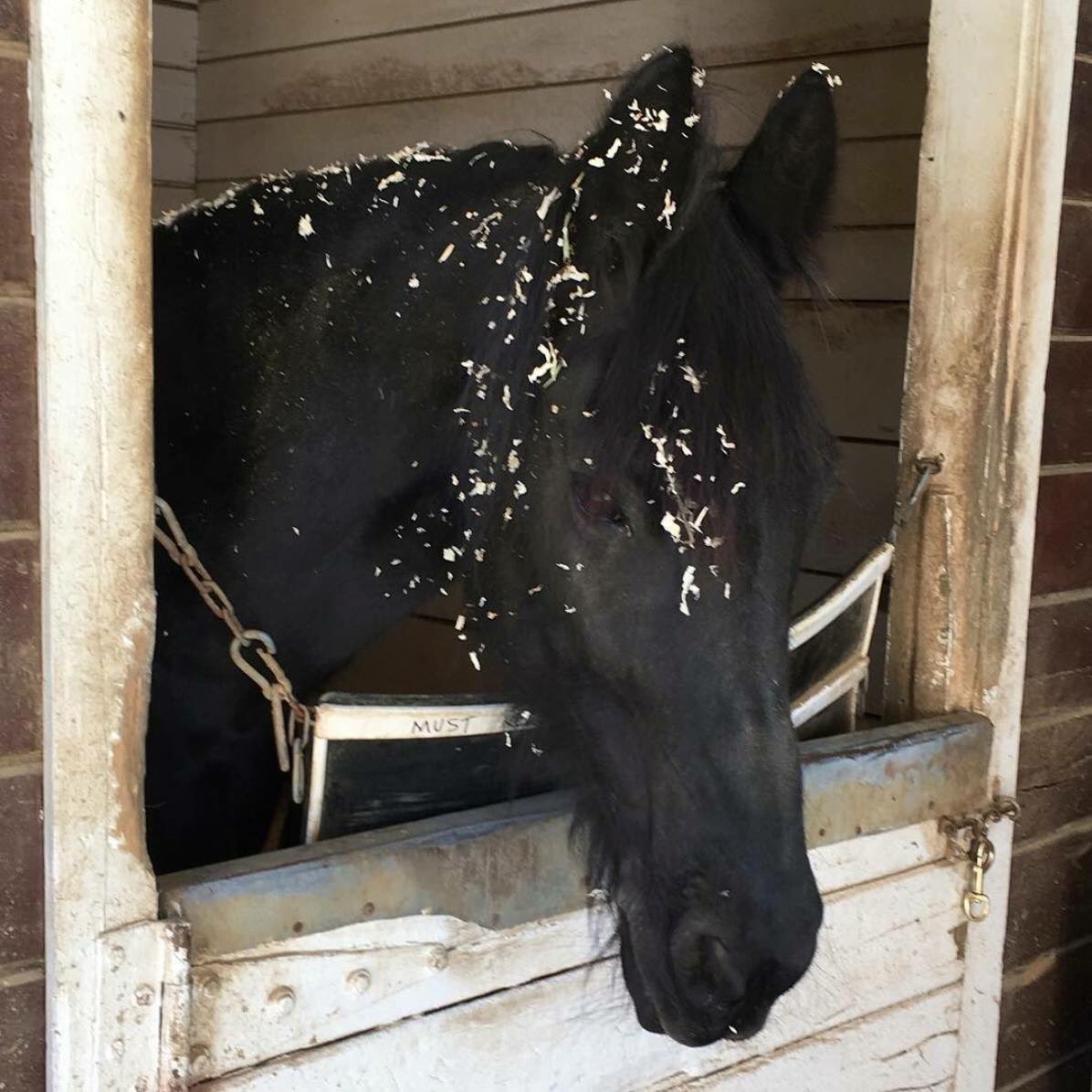 Good morning princess. Time for school.