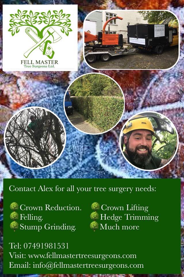 fellmasterDE5's tweet photo. Make your New Years resolution to sort the trees in your garden! Call our qualified team on 07491981531 https://t.co/e3q9HE9UWk