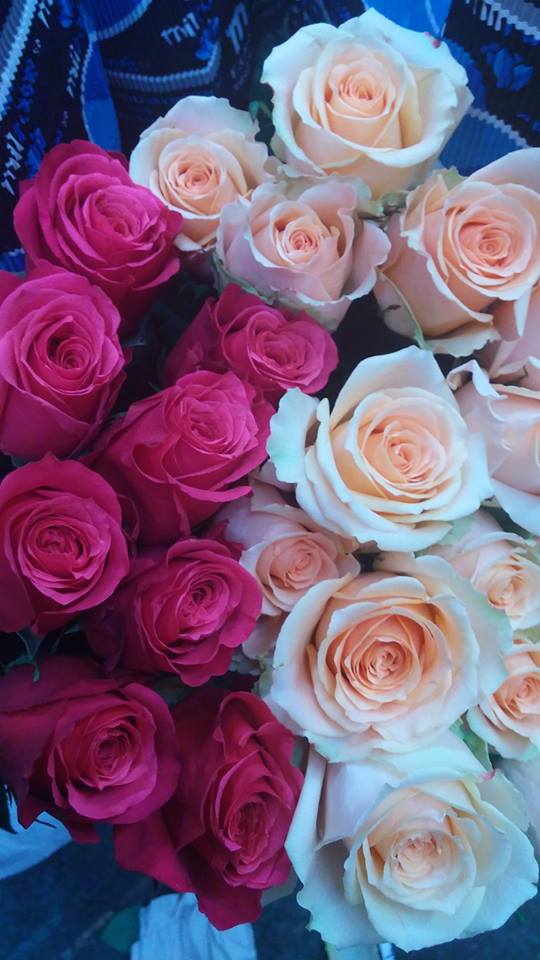 LadybugFlowers1's tweet photo. It's a great day to reach out and send a loved one some #Beautiful flowers💐🌼🌷🌹 
☎️918•836•7673 
Your Local Florist in #Tulsa😍
#ThursdayThoughts https://t.co/ZJ5ftr4Rji