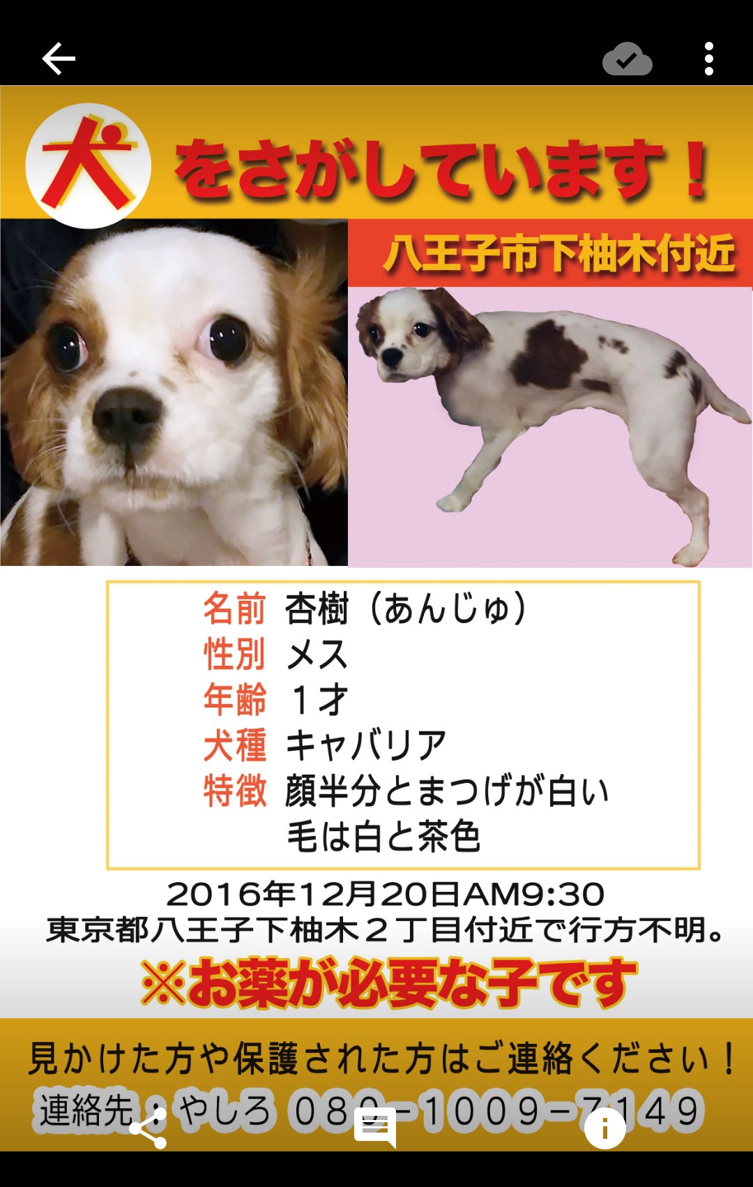 八王子保健所 Twitter Search Twitter