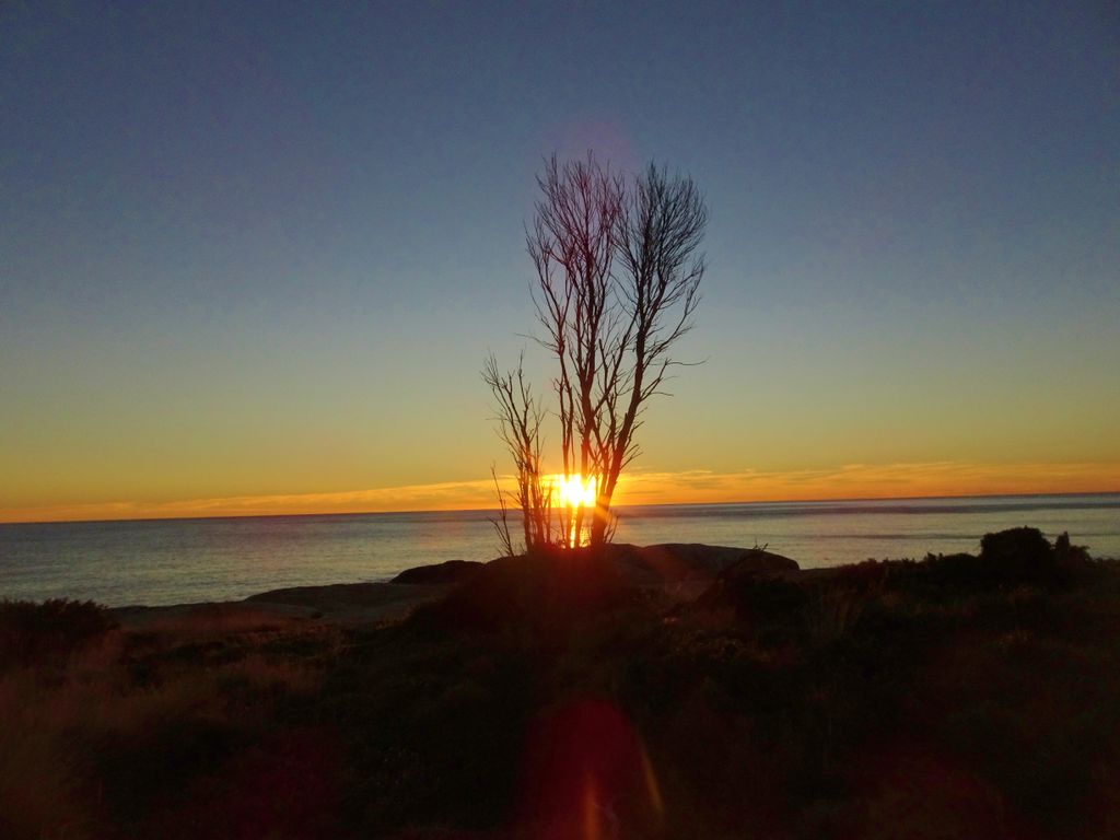 penwriter's tweet photo. Sometimes inspiration comes from a single ray of sunshine. #skyview #skycolors #sunrise_sunset #sunrises #sunriseview #tasmania #discovertasmania #instatasmania #loves_united_australia #tasmaniagram #exceptional_pictures #shotsofresh #bd_world #earth_shotz #splendid_earth https://t.co/xtXvsRPKZR