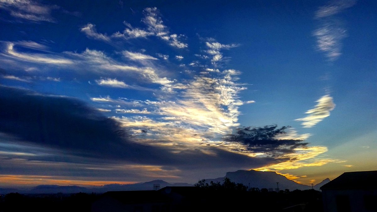 Patrycja Oosthuizen tweet media