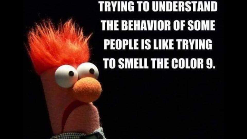 CrowSwezey's tweet image. Truth hurts so bad.