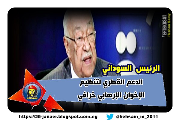فؤاد علام: الدعم القطري لتنظيم الإخوان الإرهابي خرافي