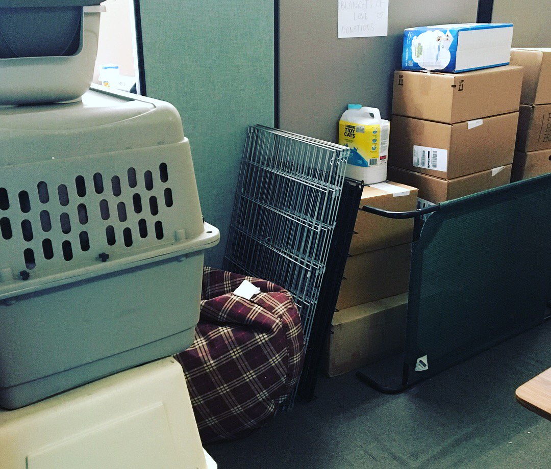 vromans's tweet photo. Thank you to everyone who donated goods to our @OBOLPaws pet drive! Eileen and Brad from Operation Blankets of love even brought Ginger the Therapy Dog when they came to pick everything up! #petdrive #operationblanketsoflove #vromansbookstore https://t.co/ZkcRGOIADs