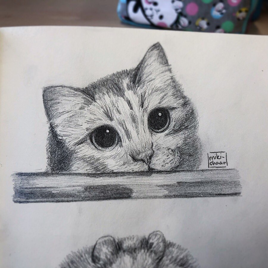 Featured image of post Cute Cat Drawing Realistic Download all photos and use them even for commercial projects