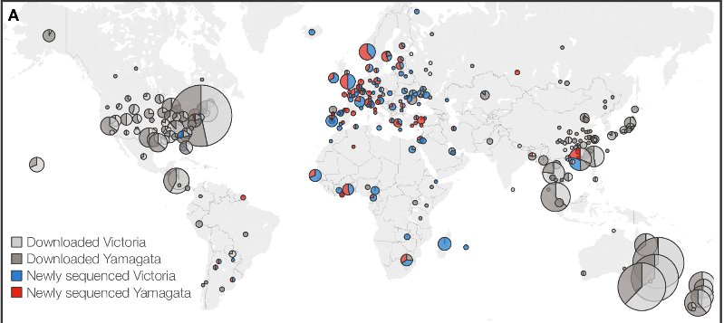 New research: #Genome-wide evolutionary dynamics of #influenza B viruses on a global scale
journals.plos.org/plospathogens/…