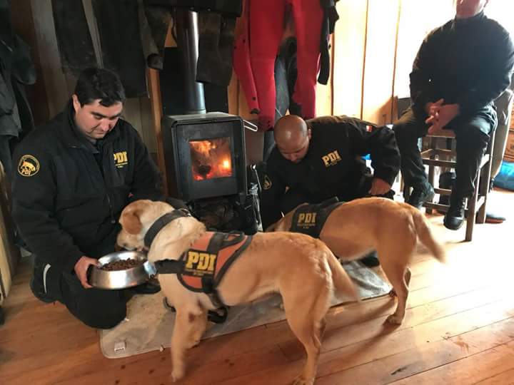 pera334's tweet photo. #VillaSantaLucía La labor de nuestros amigos: Kala, Lara, Aron, Adele y Tamar no sólo demanda un gran esfuerzo; contempla también la evaluación diaria de su veterinario, doble ración de comida, tiempo libre para jugar, un rico baño y mucho amor antes de irse a dormir.
Vía: PDI https://t.co/b2rYh3wxYV