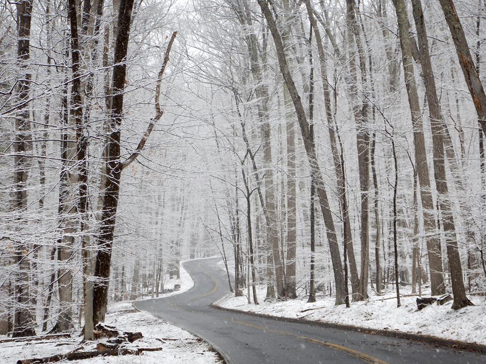 A road curves through a forest covered in frost and snow.