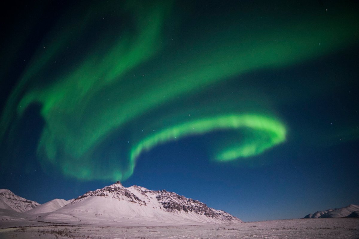 Wavy green lines fill the night sky above a snow covered plain.