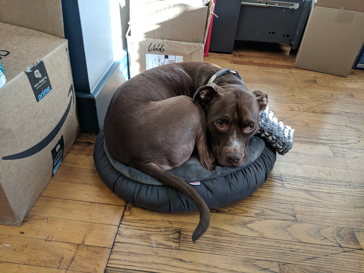 valveandmeter's tweet photo. What do you think? Does Apollo fit? https://t.co/68s0r41C8o