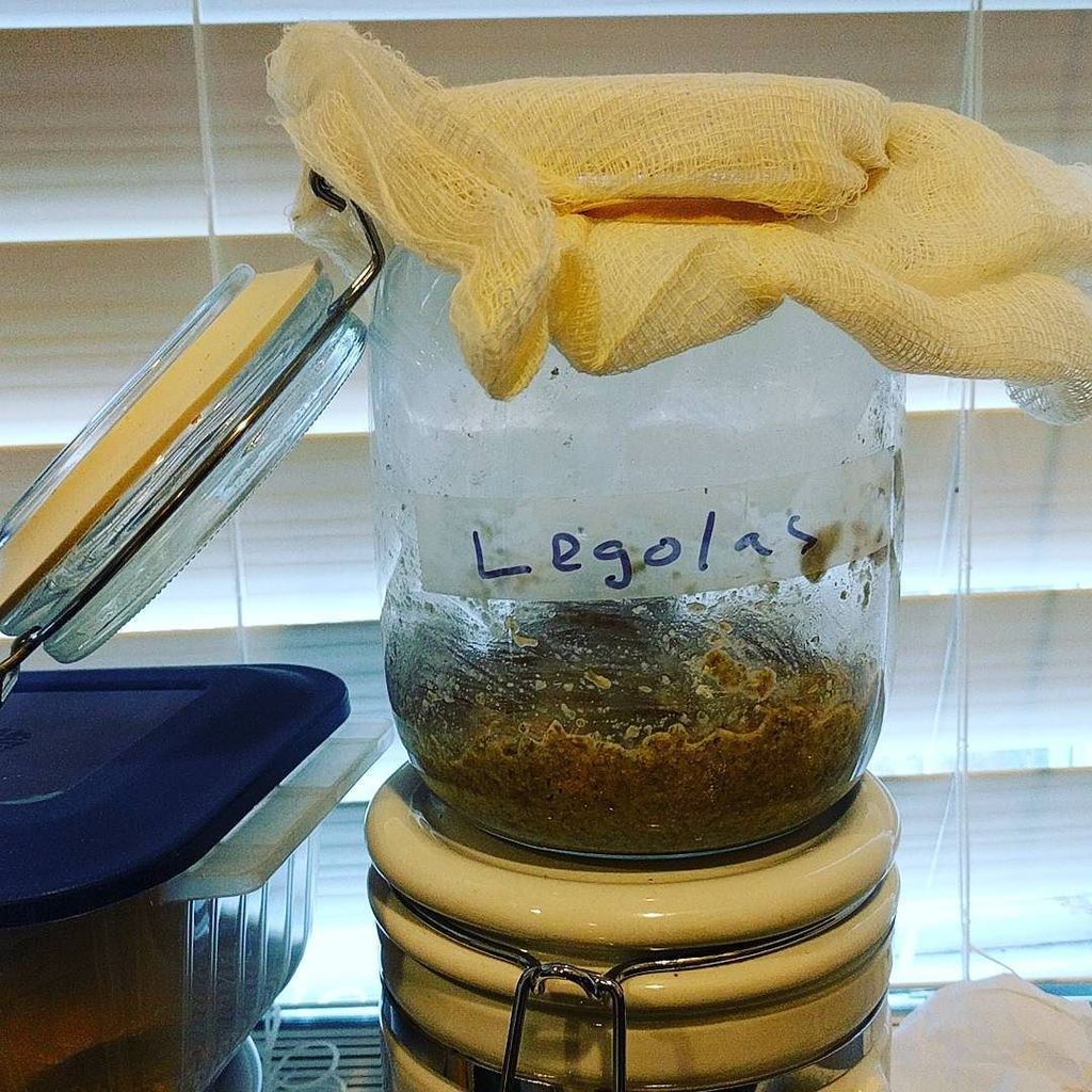 BarbarianBread's tweet photo. A new chapter (and starter) begins. This one, hopefully immortal (and pure #rye) #sourdough #bread #philly #bakersofinstagram https://t.co/y1js0BbwYA https://t.co/r7lG0XupHe