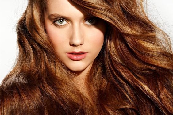 Style by Fire tweet media