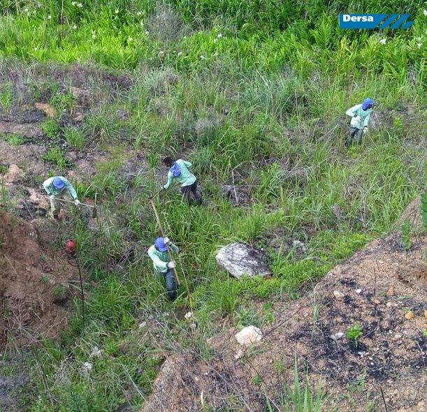 DERSASP's tweet photo. Se você frequenta as praias de #Paúba, #Maresias e #Santiago, já pode ter notado nos morros adjacentes algumas placas e movimentações de equipe técnica. Trata-se de parte das ações de Plantio Compensatório, referentes a @NovaTamoios . Saiba mais em: https://t.co/2YCHbxybW9
#DERSA https://t.co/Sg1mUWKF2S