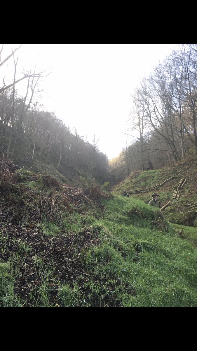AdamCalvert1's tweet photo. Duncombe Park tomorrow! I always look forward to a warm welcome from the team there!
#drivenpheasants
#bestshootsinthecountry
#extremepheasants
#bigpheasants
#calvertsporting
#gameshooting
#drivengameshooting
#wingshooting
#pheasant
#partridge
#hullcartridge https://t.co/gxADa3j4as
