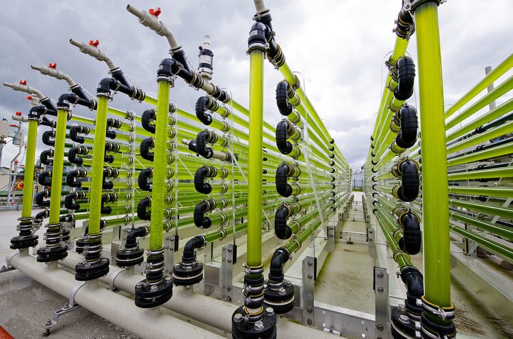 We just posted about Europe’s best kept secret: a thriving #biofuel economy. Read all about it at 👉🏽 agritecture.com/post/2017/12/2…