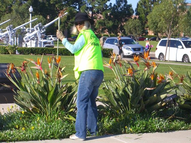 PointLomaAssociation tweet media