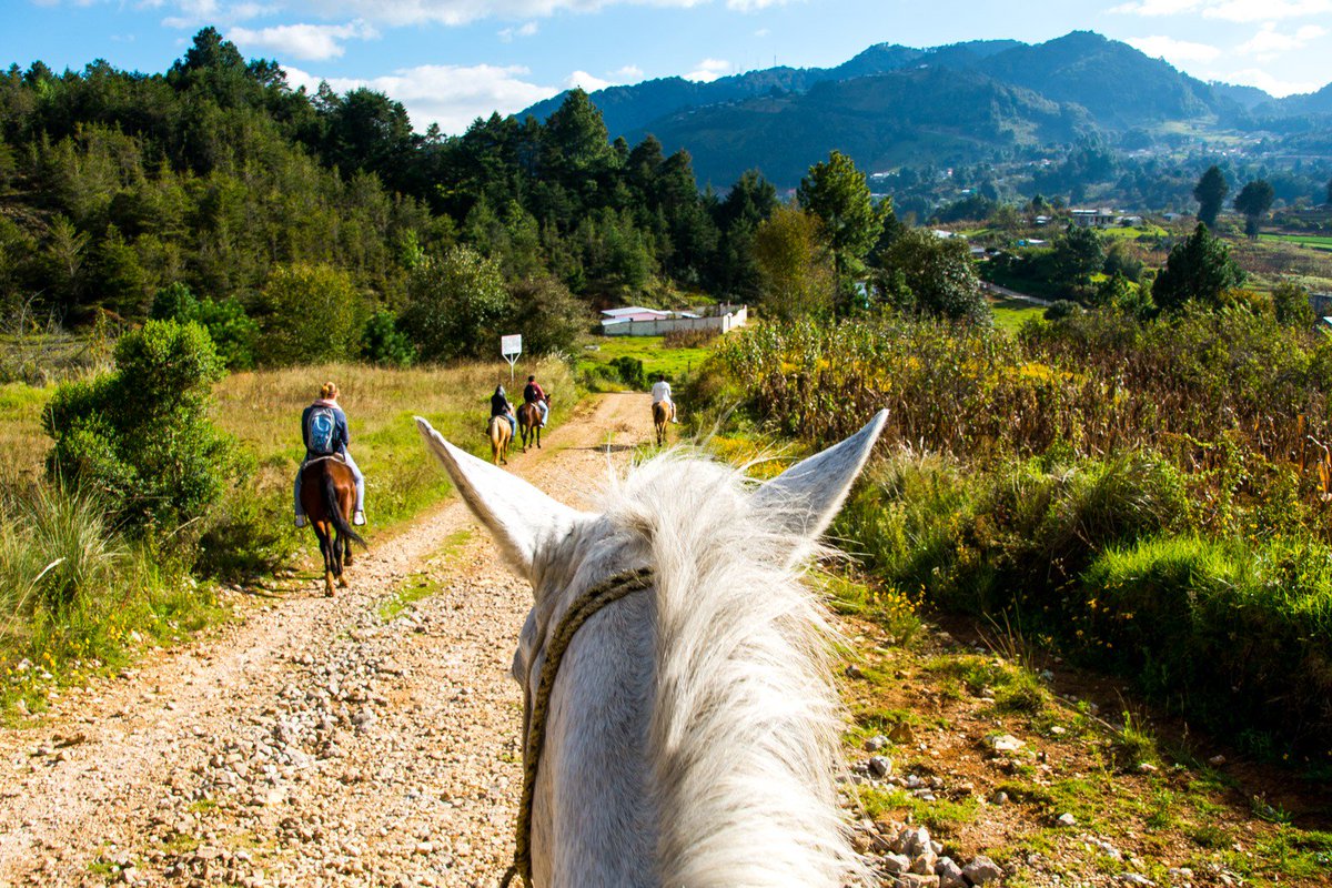 *NEW POST* Whether you favor adventure, culture or nature you will find all of that in Mexico’s most magical town: San Cristobal de las Casas. Ready to explore it? #Chiapas #VisitMexico #TRLT journeywonders.com/things-to-do-i…