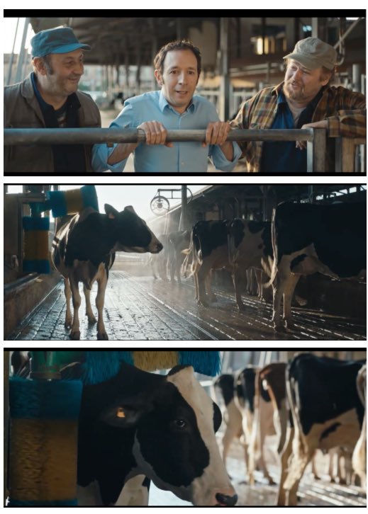 Finalmente in TV arriva una #pubblicità che presenta una vera #stalla da #latte: complimenti alla #LatteriaSoresina! #zootecnia #milk #madeinitaly #stalleaperte steaming-up.com/2017/12/28/il-…