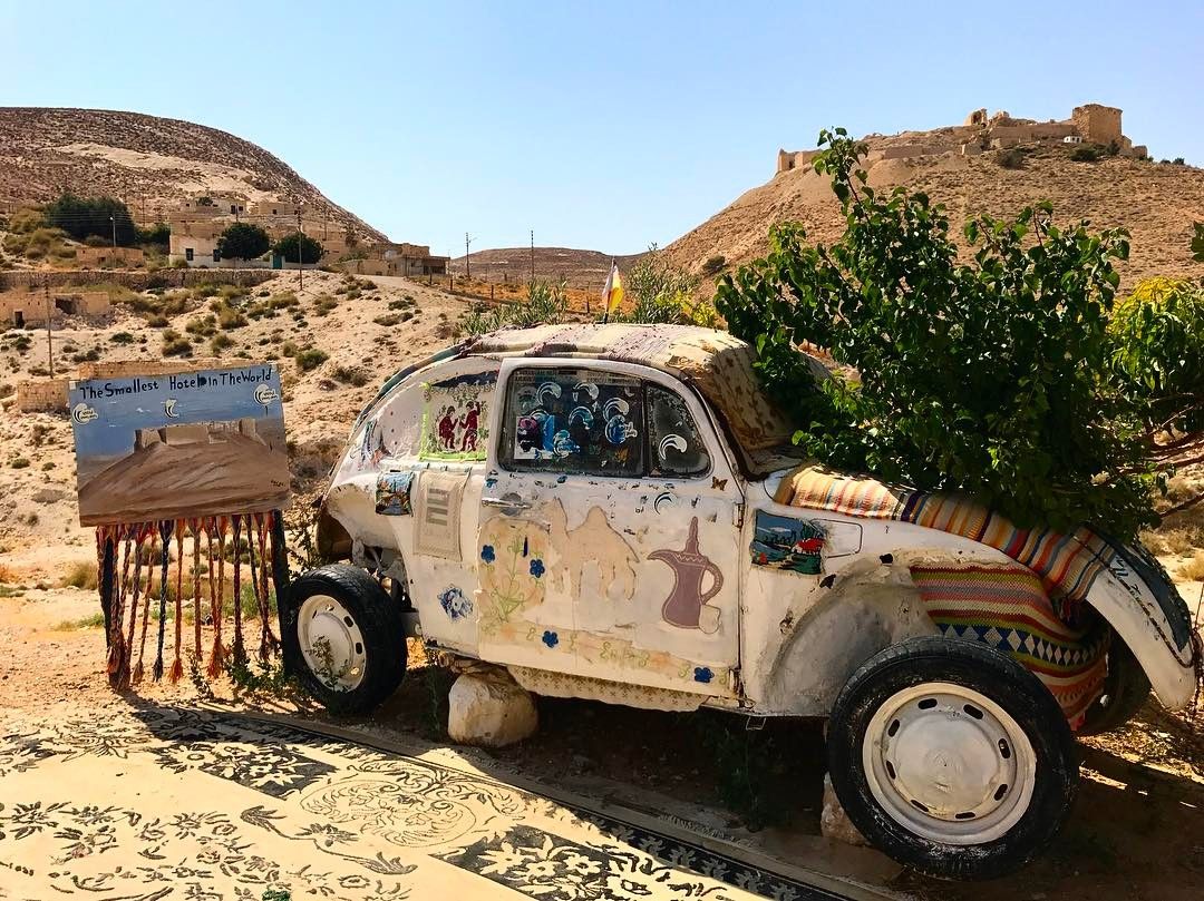 Este escarabajo es el hotel más pequeño del mundo bit.ly/2CfSt99