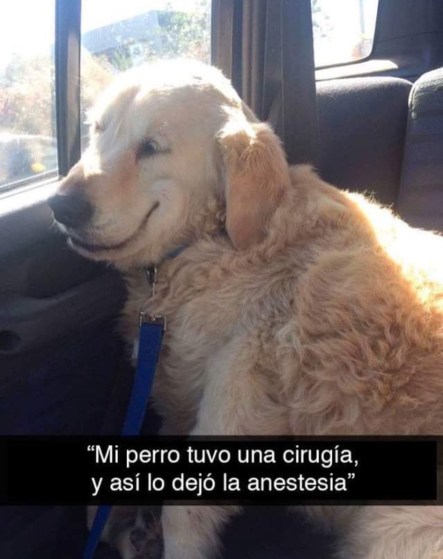 JulianMarin's tweet photo. Gracias internet por tanto. https://t.co/wpB6SVeuhn